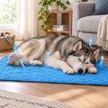 Chilled Cooling mat